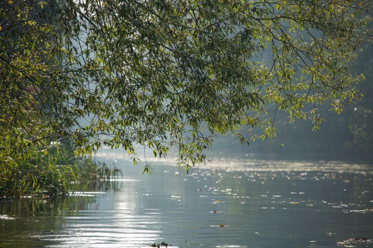 Spreewaldferienhaus - Urlaub Lübben Zewnętrze zdjęcie